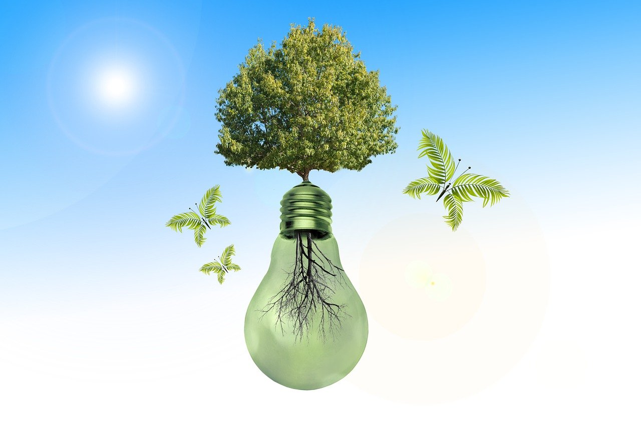 light bulb, natural reserve, environment