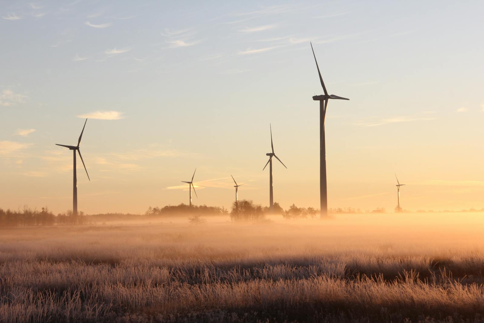 Wind turbines stand tall amidst a misty, sunrise landscape in Ontario, Canada, showcasing renewable energy.