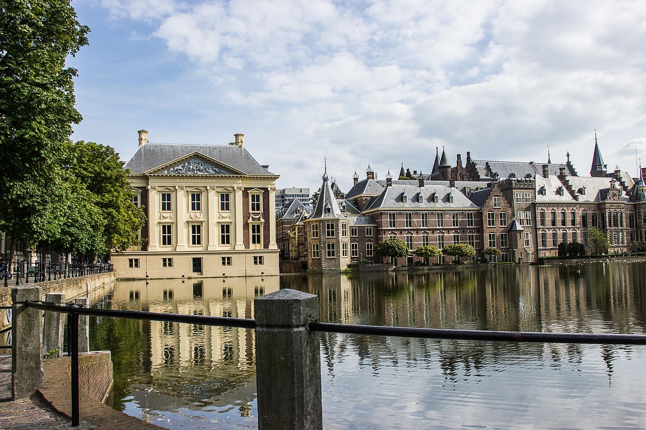 the hague, pond, architecture, buildings, reflection, netherlands, the hague, the hague, the hague, the hague, the hague