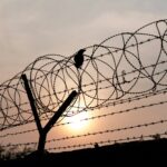 black bird perched on barb wire during sundown