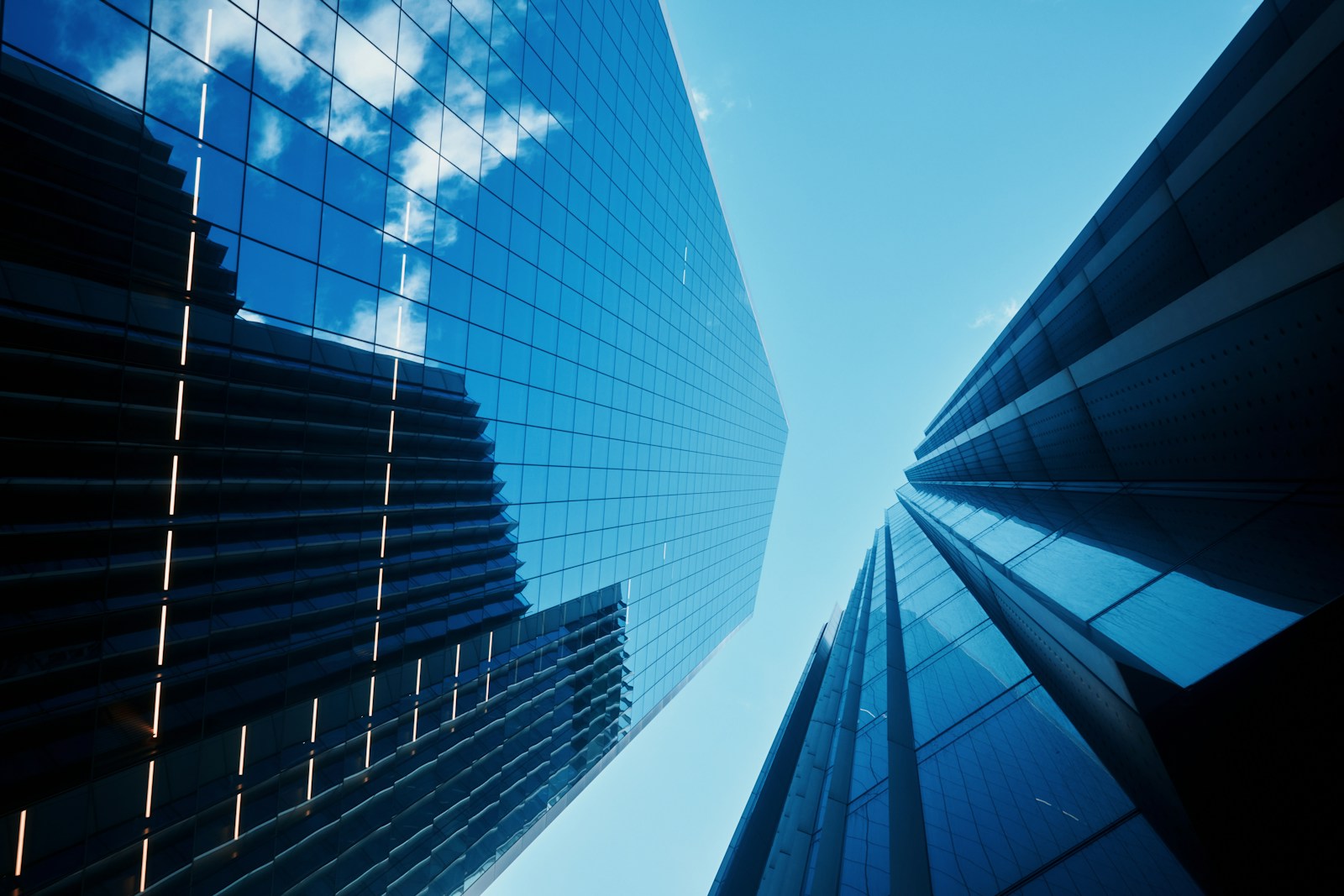 Skyscrapers reach for the sky.